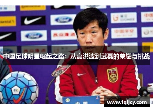 中国足球明星崛起之路：从高洪波到武磊的荣耀与挑战